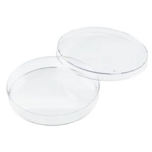 Petri Dish 15MM