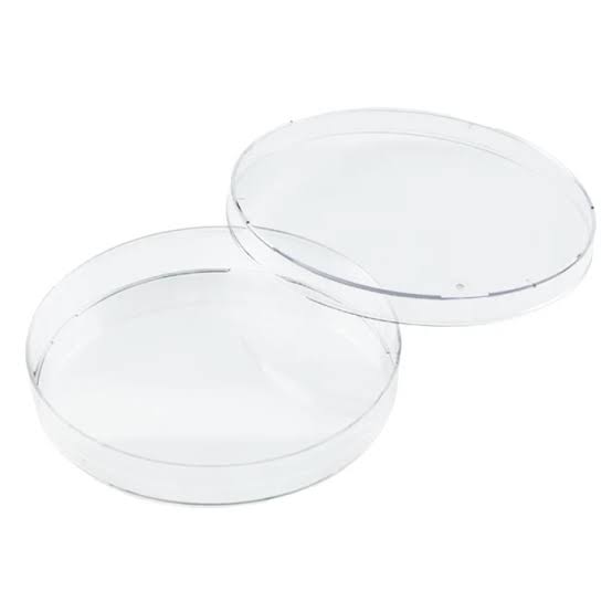 Petri Dish 15MM