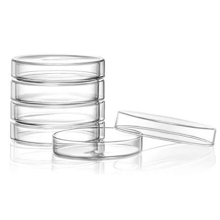 Petri Dish 15MM - 图片 2