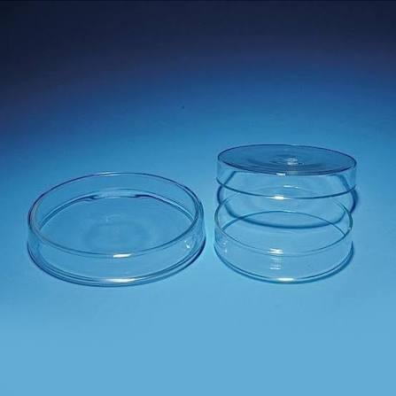 Petri Dish 15MM - 图片 3